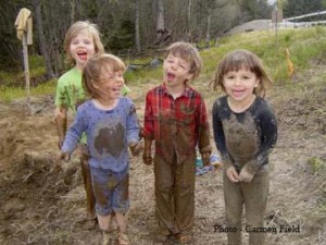 426376_266175110180831_1886501539_n